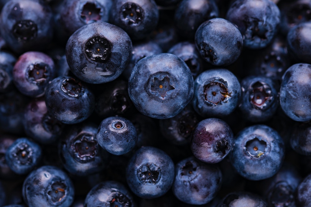 Blueberry fruits. 