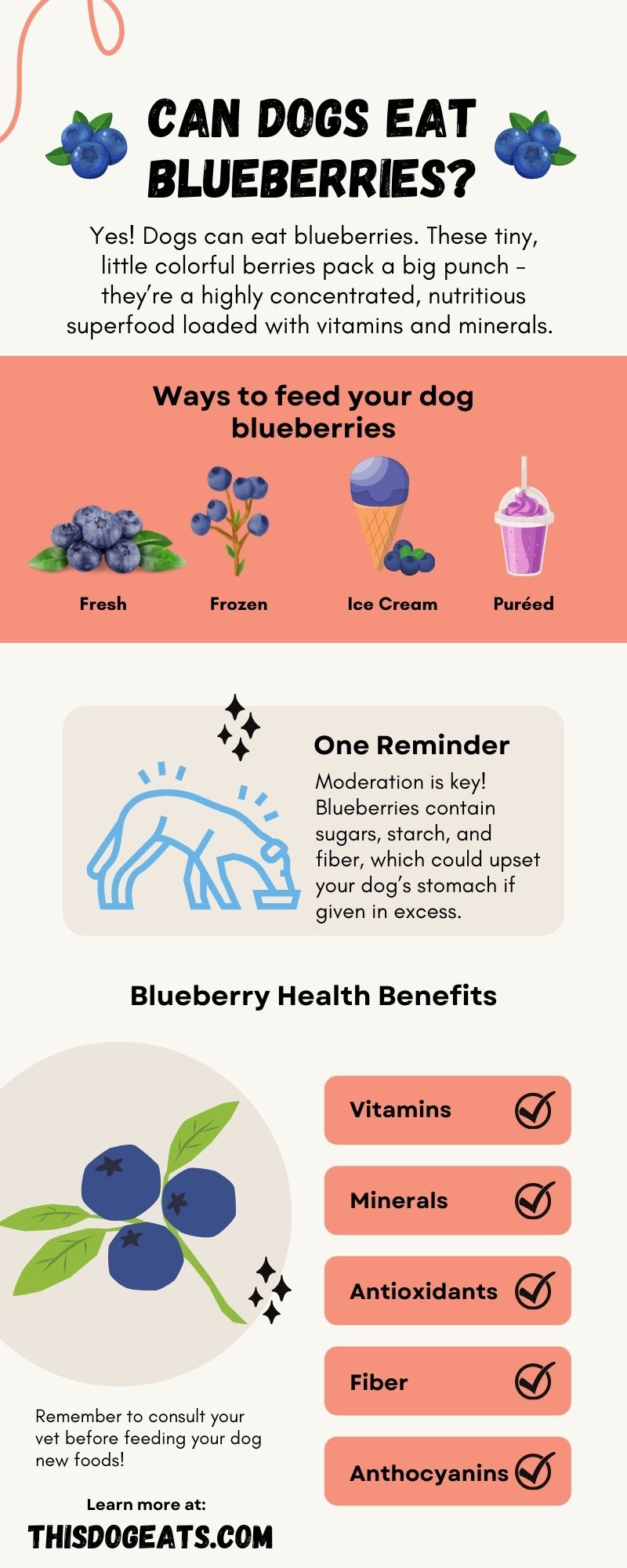 Can dogs eat blueberries?