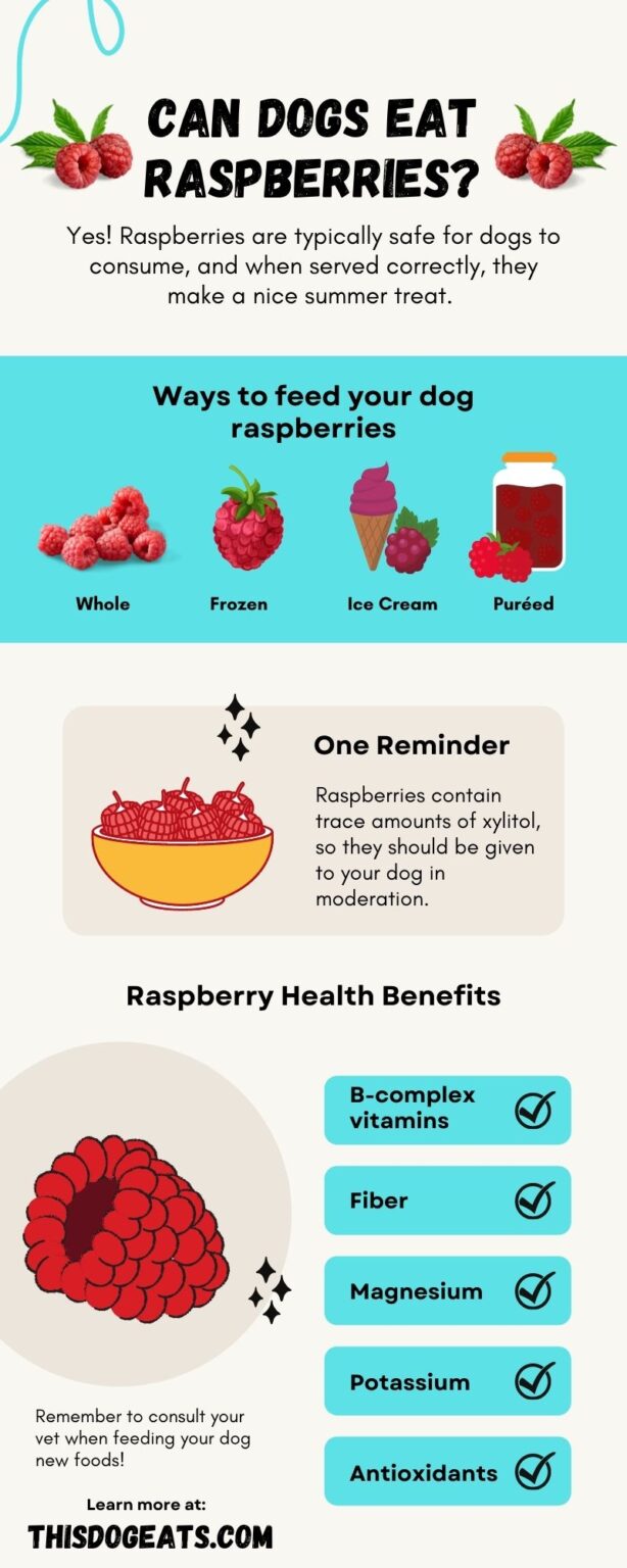 Can dogs eat raspberries? This Dog Eats
