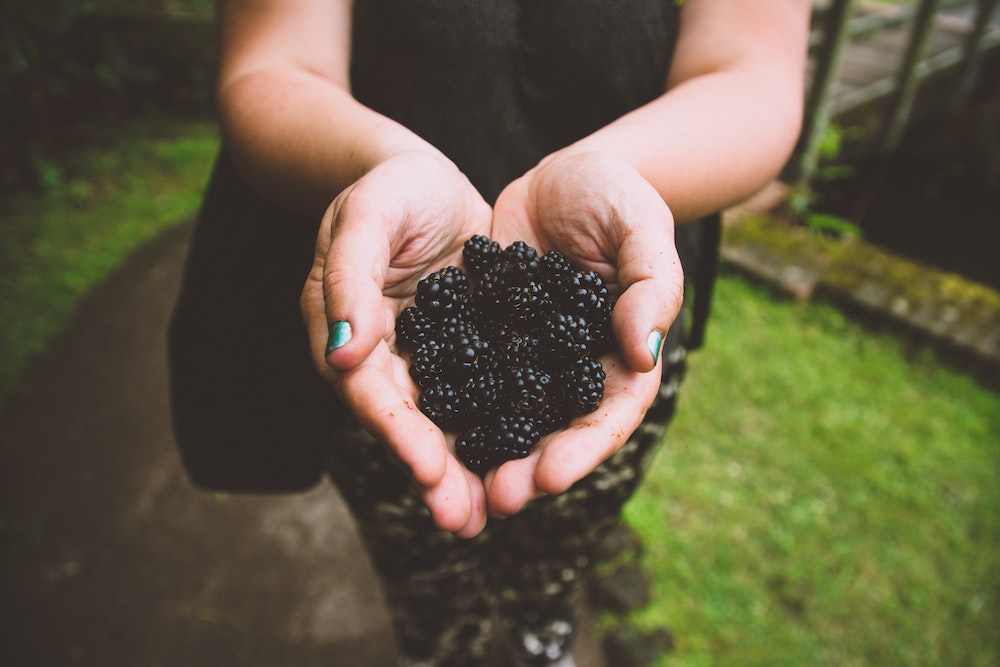 A handful of blackberries. 