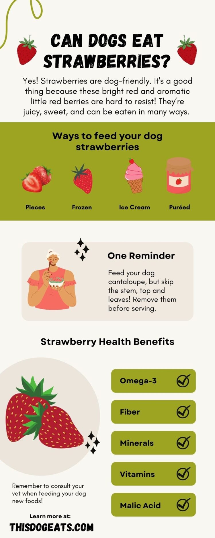 Can dogs eat strawberries? This Dog Eats