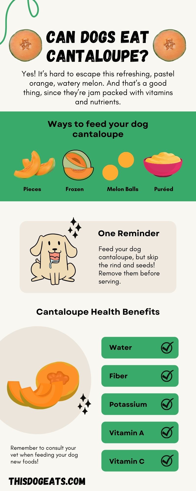 Is Cantaloupe Safe For Dogs