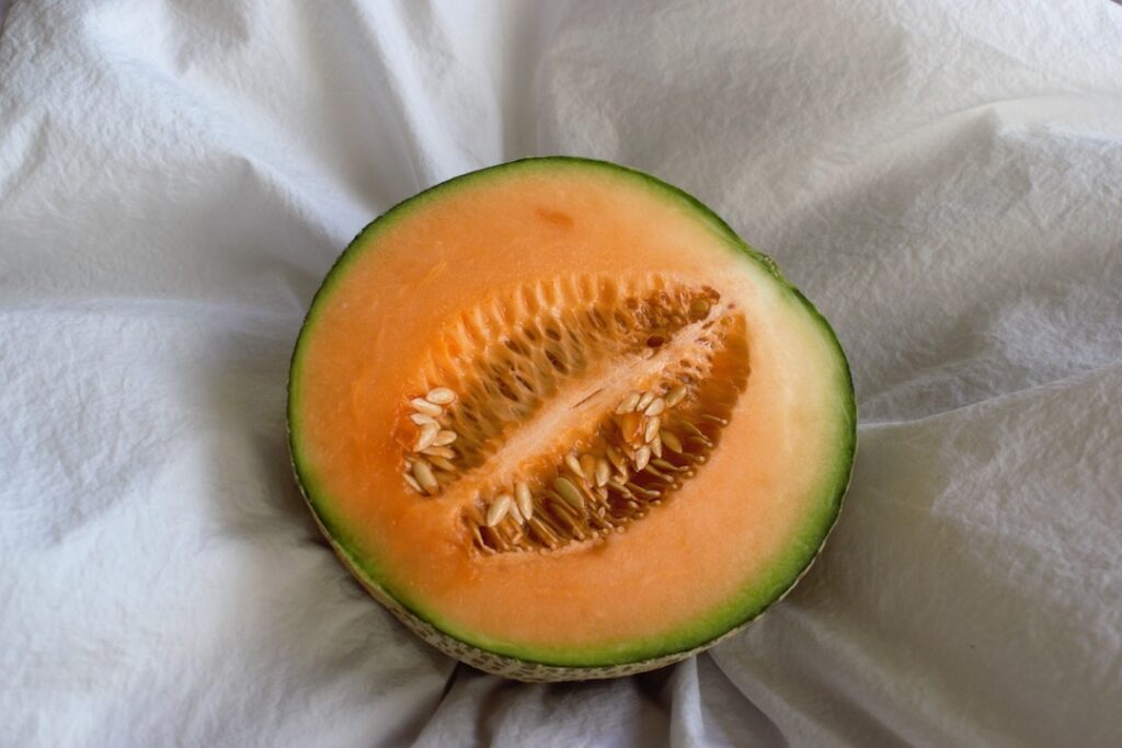 is cantaloupe bad for dogs to eat