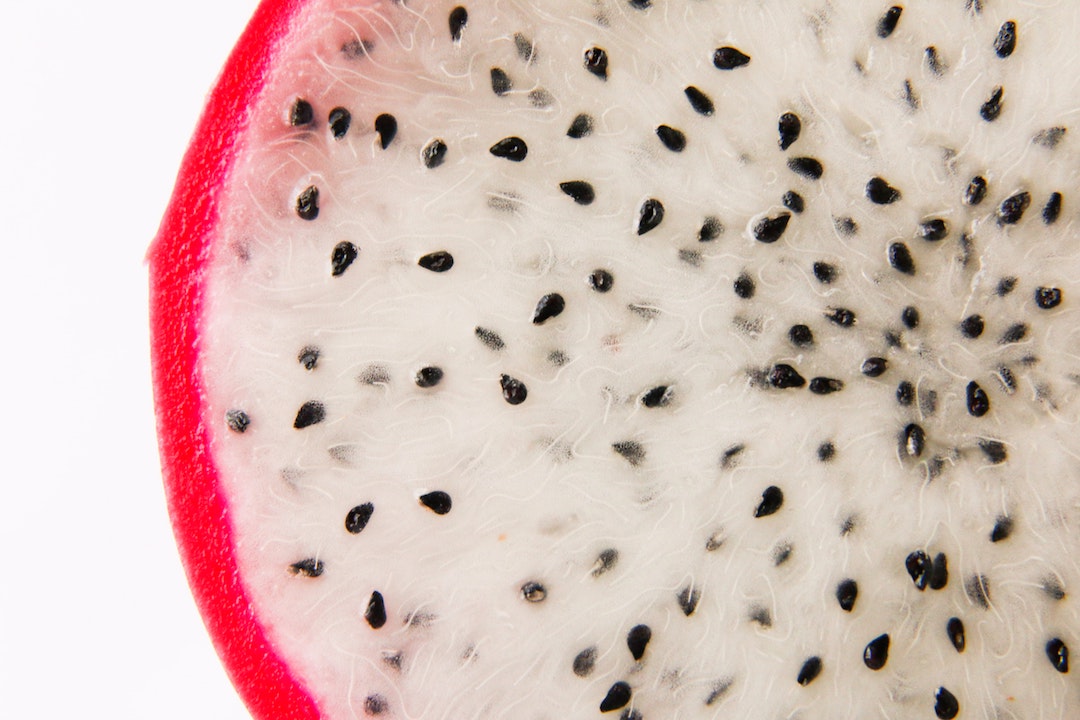 Can dogs eat dragon fruit? Feeding pitaya to your dog This Dog Eats