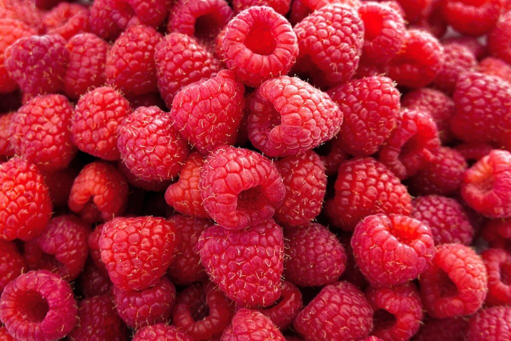 Can dogs eat raspberries?