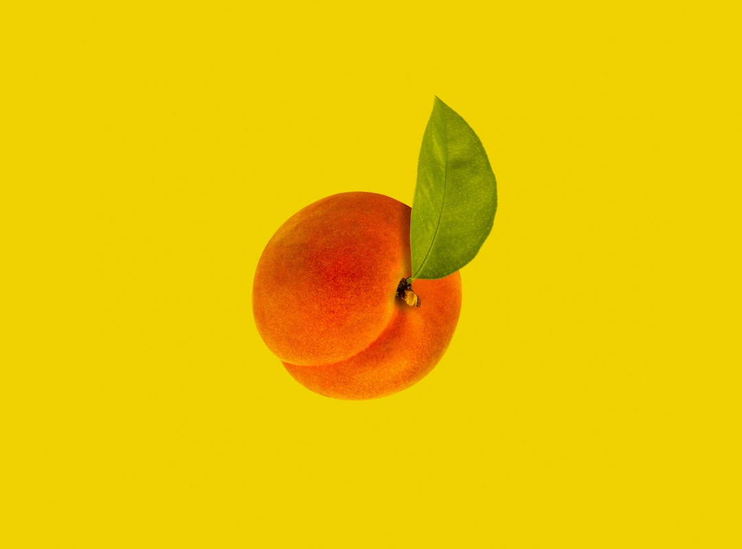 Can dogs eat apricots? This Dog Eats