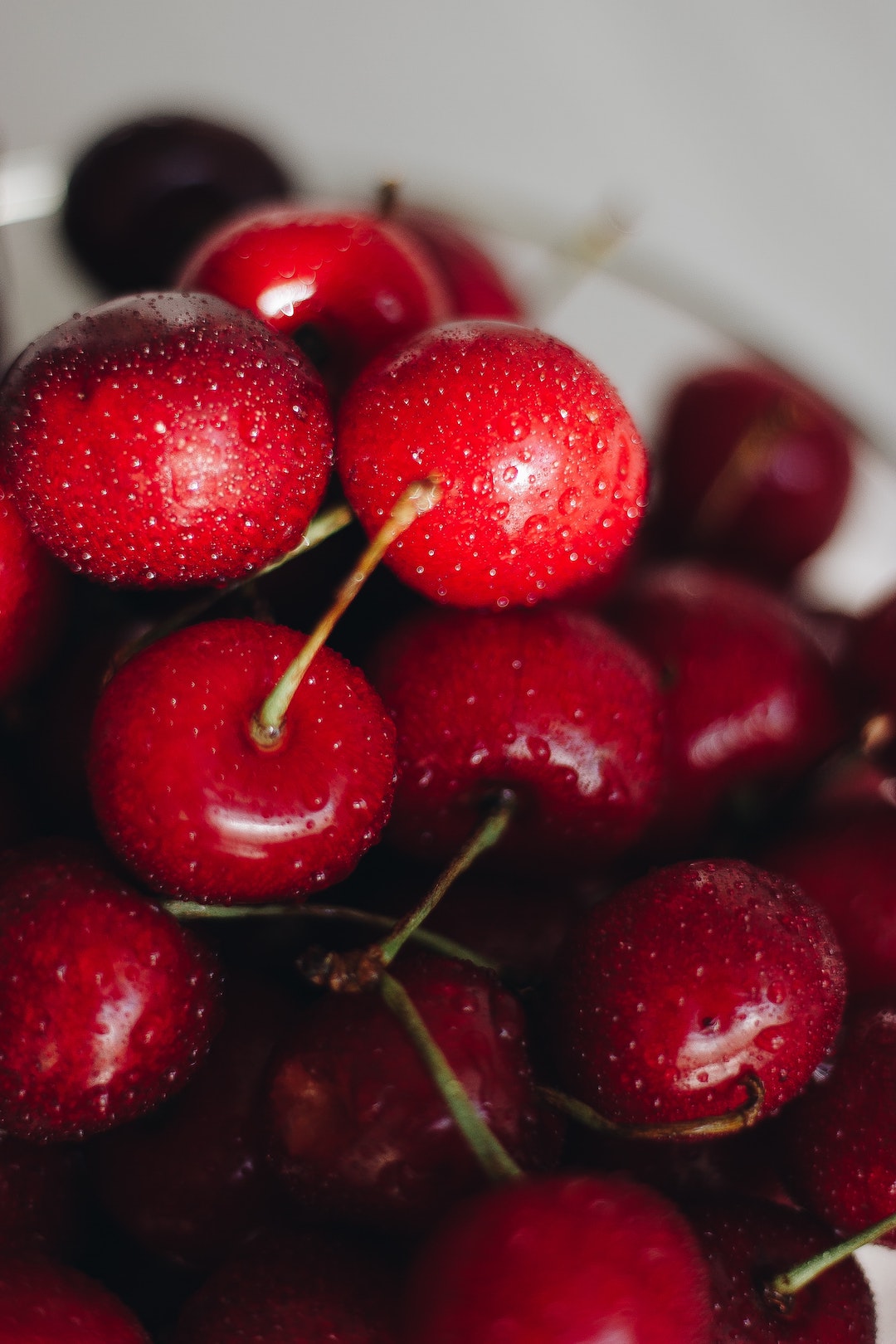 can cherries kill dogs