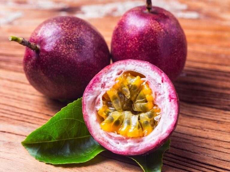 Can dogs eat passion fruit? This Dog Eats